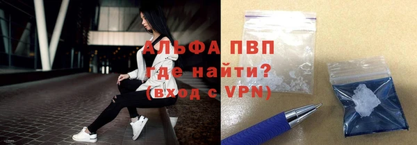 apvp Алзамай