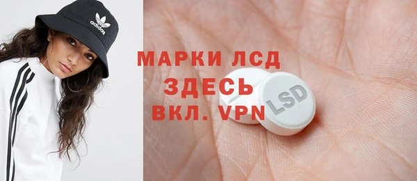 apvp Алзамай