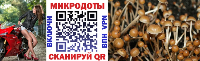 Галлюциногенные грибы MAGIC MUSHROOMS  Артёмовск 